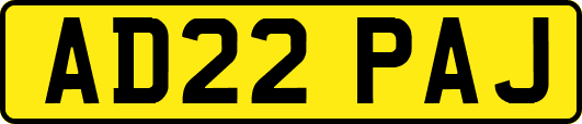 AD22PAJ