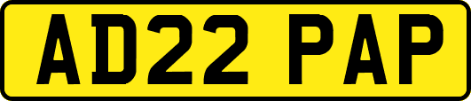 AD22PAP