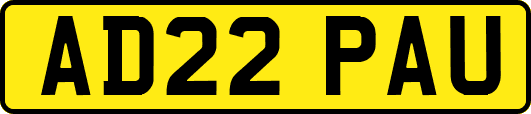 AD22PAU