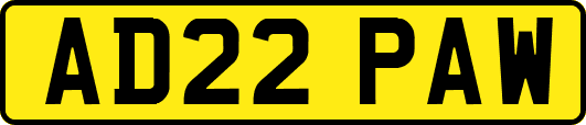 AD22PAW