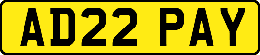 AD22PAY