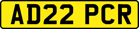 AD22PCR