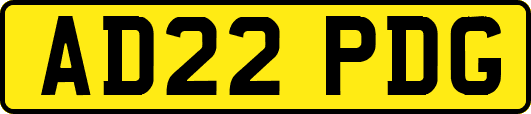 AD22PDG