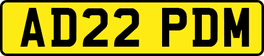 AD22PDM