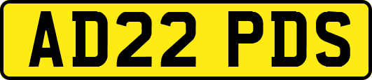 AD22PDS