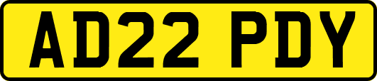 AD22PDY