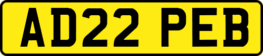 AD22PEB