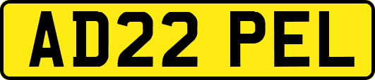 AD22PEL