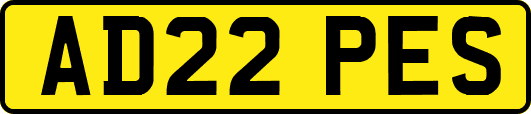 AD22PES