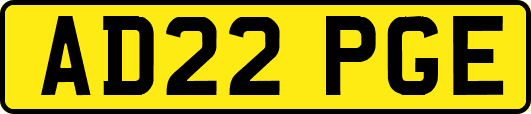 AD22PGE