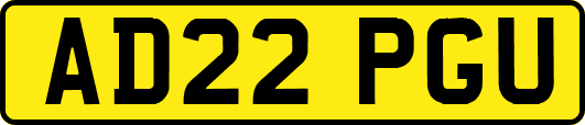 AD22PGU