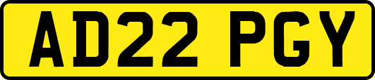 AD22PGY