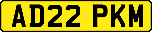 AD22PKM