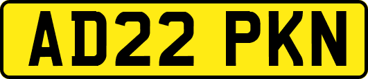 AD22PKN