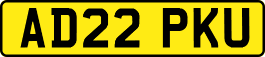 AD22PKU