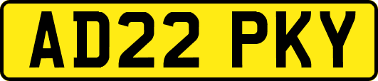 AD22PKY