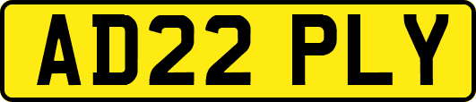 AD22PLY
