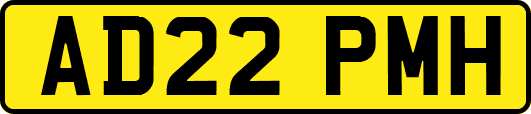 AD22PMH