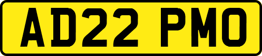 AD22PMO