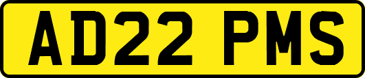 AD22PMS