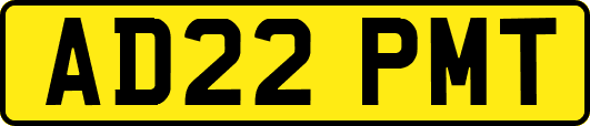 AD22PMT