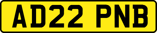 AD22PNB