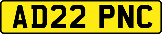 AD22PNC