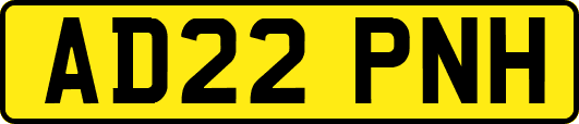 AD22PNH