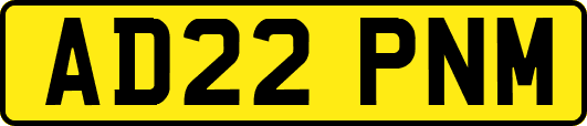 AD22PNM