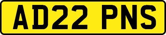 AD22PNS