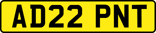 AD22PNT