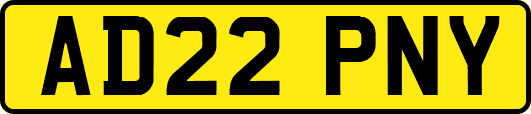 AD22PNY