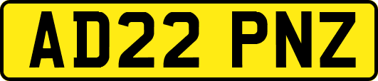 AD22PNZ