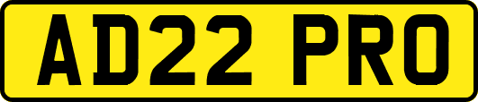 AD22PRO
