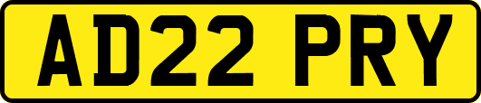 AD22PRY