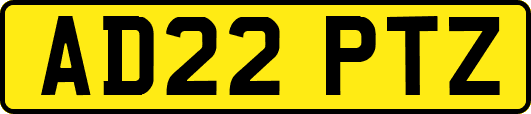 AD22PTZ