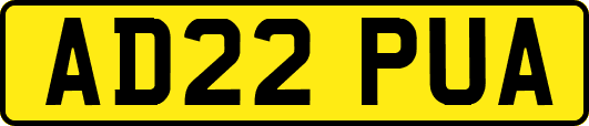AD22PUA