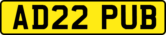 AD22PUB