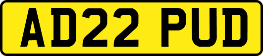 AD22PUD
