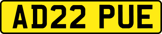AD22PUE