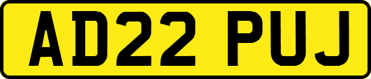AD22PUJ
