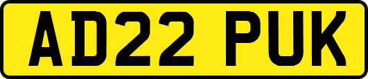 AD22PUK