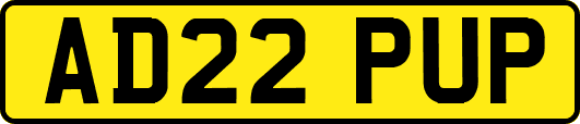 AD22PUP