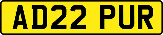 AD22PUR