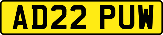 AD22PUW