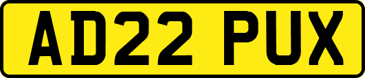 AD22PUX