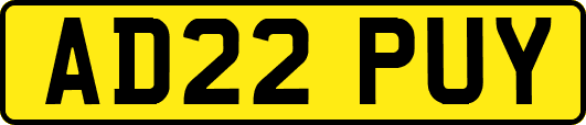 AD22PUY