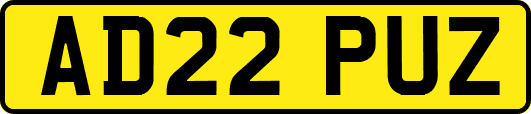 AD22PUZ