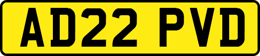 AD22PVD
