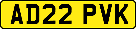 AD22PVK